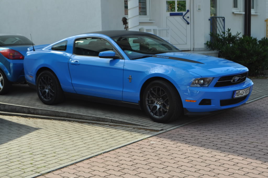 Name:  DSC_0300.jpg
Views: 69
Size:  122.7 KB