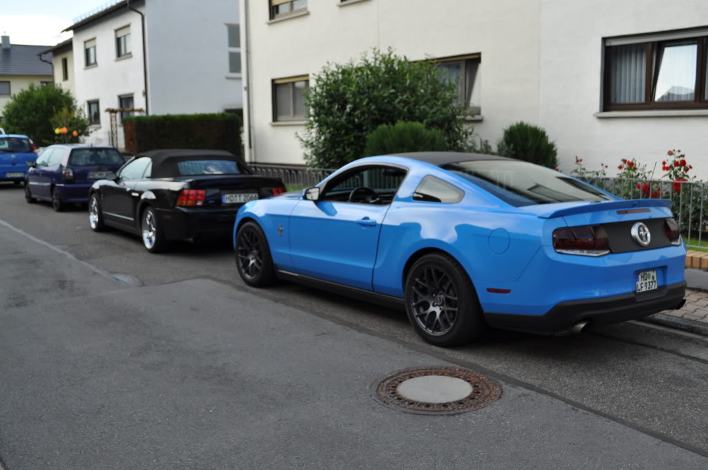 Name:  DSC_0326-1.jpg
Views: 68
Size:  94.9 KB