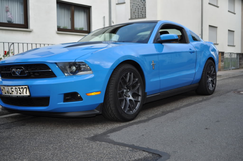 Name:  DSC_0331.jpg
Views: 62
Size:  112.8 KB