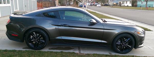 Paint or Powder Coat-2015_mustang23.jpg