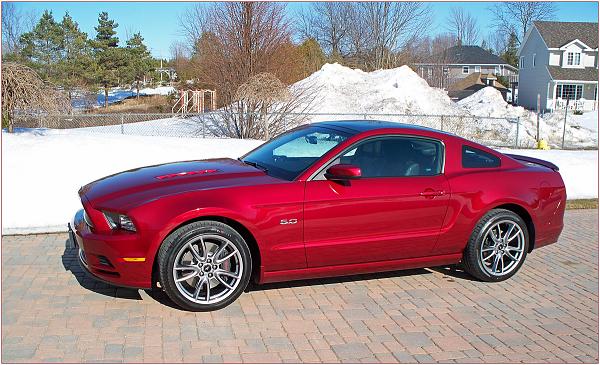 Ruby Red Roll Call! - Post yours-1188-mustang.jpg