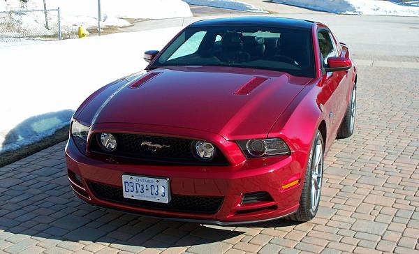 Ruby Red Roll Call! - Post yours-1193r-mustang.jpg