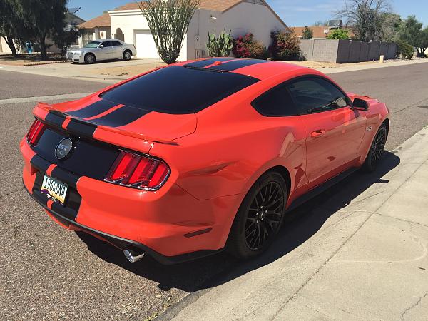 2015 CO Mustang GT-img_4104.jpg