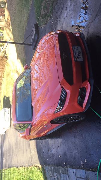 My 2015 Competition Orange GT W/ Performance Package!-img_1189.jpg