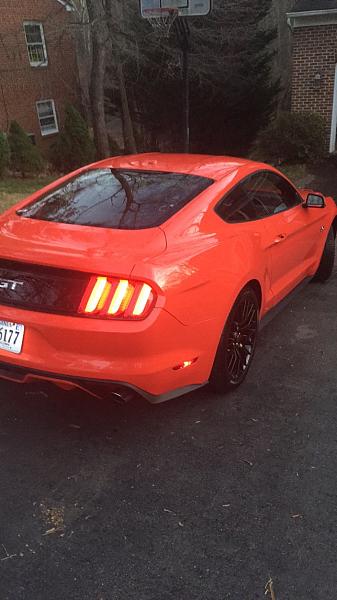 My 2015 Competition Orange GT W/ Performance Package!-img_1199.jpg