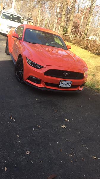 My 2015 Competition Orange GT W/ Performance Package!-img_1205.jpg
