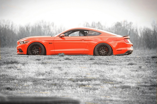 My 2016 Competion Orange Performance Package GT-photo73.jpg