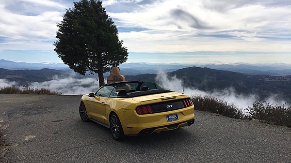 2015 Gt triple yellow convertible-img_5836.jpg