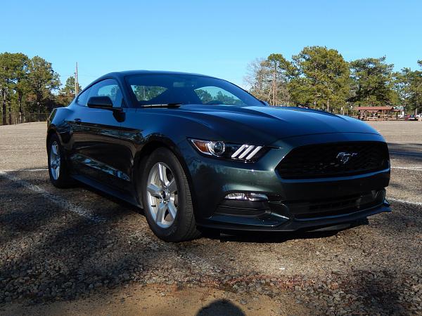 My Guard V6 Fastback-pics-047.jpg