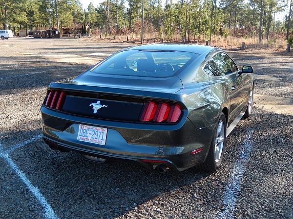 My Guard V6 Fastback-pics-049.jpg