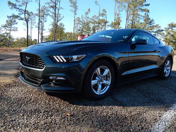 My Guard V6 Fastback-pics-052.jpg