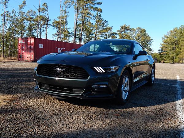 My Guard V6 Fastback-pics-046.jpg