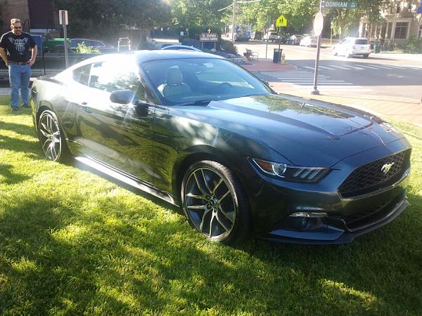 I Ran into (And SAT IN) a 2015 Guard EcoBoost Fastback Today-2014-06-07-09.02.32-resize.jpg