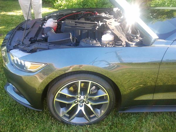 I Ran into (And SAT IN) a 2015 Guard EcoBoost Fastback Today-2014-06-07-09.05.35-resize.jpg