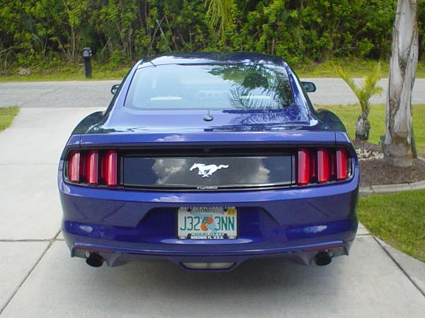 Lets see your Mustang Ecoboosts!-006.jpg