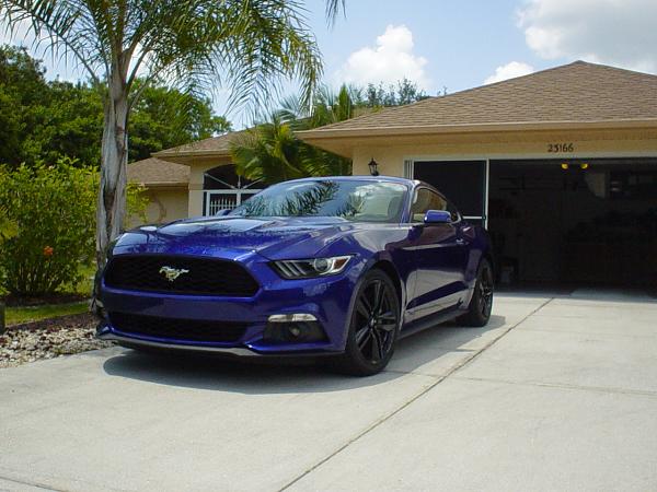 Lets see your Mustang Ecoboosts!-009.jpg