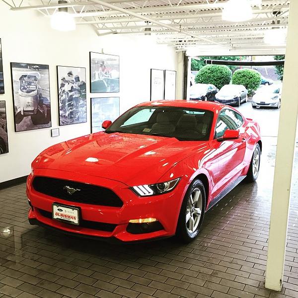 Lets see your Mustang Ecoboosts!-ginger.jpg