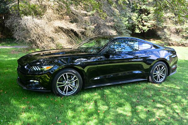 Lets see your Mustang Ecoboosts!-15mustang6.jpg
