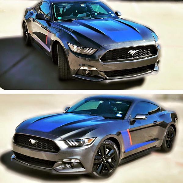 Lets see your Mustang Ecoboosts!-12644707_10208357223705375_8501677798546337366_n.jpg