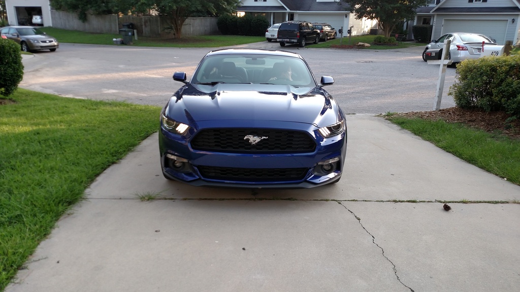 Name:  IMG_20150616_191616264_zps1gwwibrk.jpg
Views: 260
Size:  232.3 KB