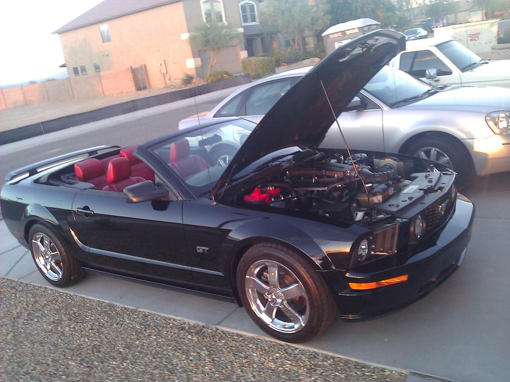 Name:  WP_003398.jpg
Views: 629
Size:  112.5 KB