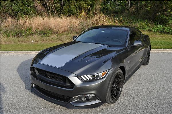 Fell for the New GT-dsc_0025.jpg