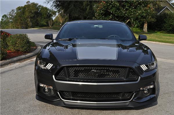 Fell for the New GT-dsc_0029.jpg