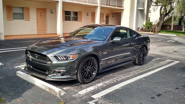 Finally bought a Mustang.-2015.jpg
