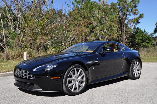 Fell for the New GT-dsc_0028.jpg