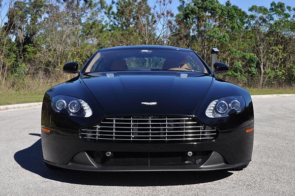 Fell for the New GT-dsc_0029.jpg