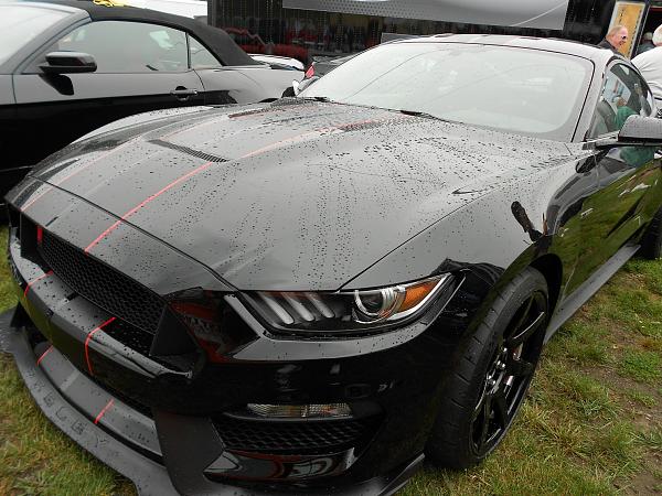 Black with Black GT350R-gt350rblk5.jpg