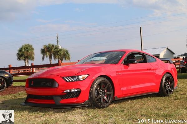 Pics from Mustang Alley Saturday Morning-img_7853_new.jpg