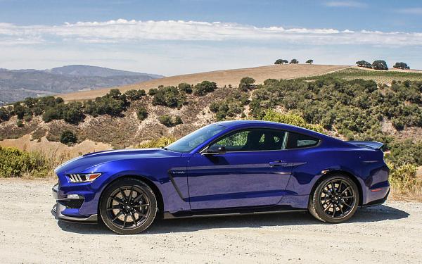 Pics from Mustang Alley Saturday Morning-2016fordshelbygt350-005.jpg