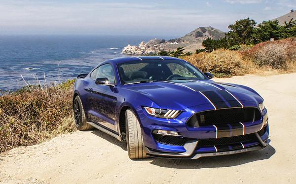 Pics from Mustang Alley Saturday Morning-2016fordshelbygt350-013.jpg