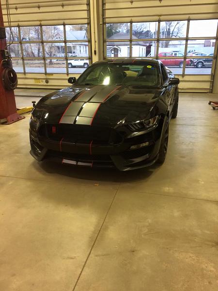 Pics from Mustang Alley Saturday Morning-11215117_10154368899297519_8387974405763636121_n.jpg