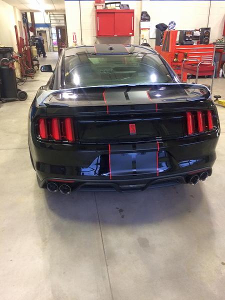 Pics from Mustang Alley Saturday Morning-12274532_10154368899412519_3313760165385079934_n.jpg