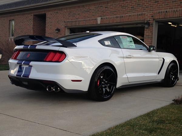 Pics from Mustang Alley Saturday Morning-b688927f92f0250dcafd1671742c487d.jpg