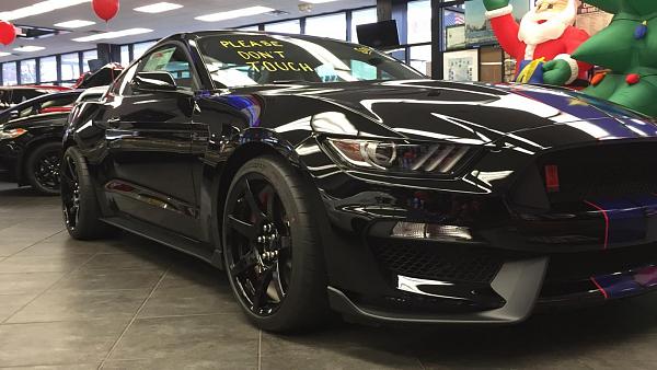 Pics from Mustang Alley Saturday Morning-img_8793.jpg