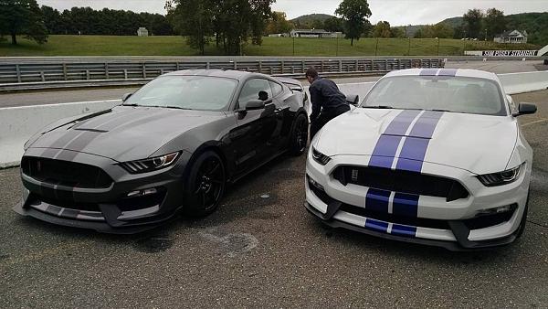 Pics from Mustang Alley Saturday Morning-12321133_10205789906486650_4669655373394887291_n.jpg