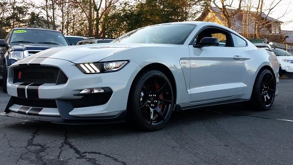 Pics from Mustang Alley Saturday Morning-12304337_1206445029371661_1916270645012581996_o.jpg