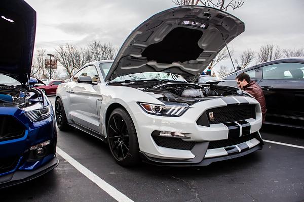 Pics from Mustang Alley Saturday Morning-ljrskzu.jpg