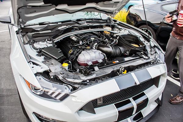 Pics from Mustang Alley Saturday Morning-sfujb45.jpg