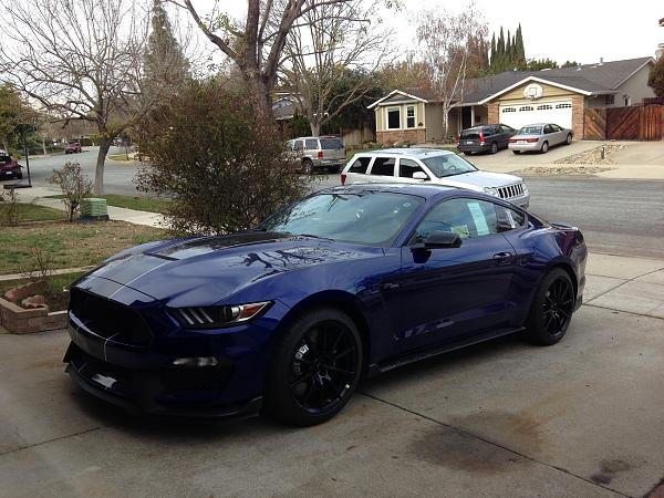 Pics from Mustang Alley Saturday Morning-user18787_pic4323_1451866314.jpg