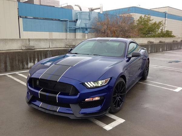 Pics from Mustang Alley Saturday Morning-user18787_pic4372_1452039529.jpg