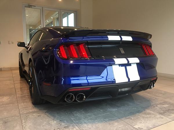 Pics from Mustang Alley Saturday Morning-2ecgm4l.jpg