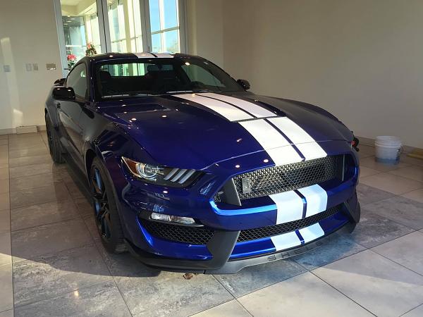 Pics from Mustang Alley Saturday Morning-1118sd1.jpg