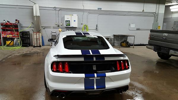 Pics from Mustang Alley Saturday Morning-pic-4.jpg