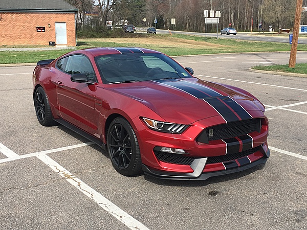 My new 17 Shelby GT 350-image.jpeg