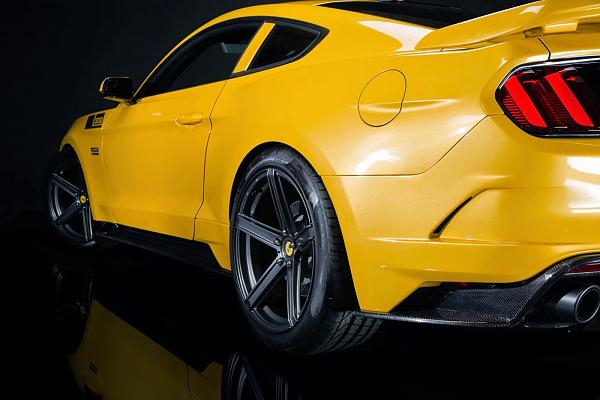 Saleen Black Label-2015-saleen-302-black-label-mustang-05.jpg
