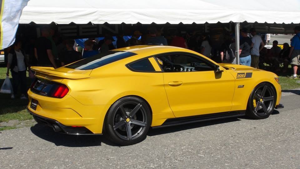 Name: S550%20Saleen%20Black%20Label%2050_zpsbutvzen5.jpg
Views: 357
Size: 69.4 KB